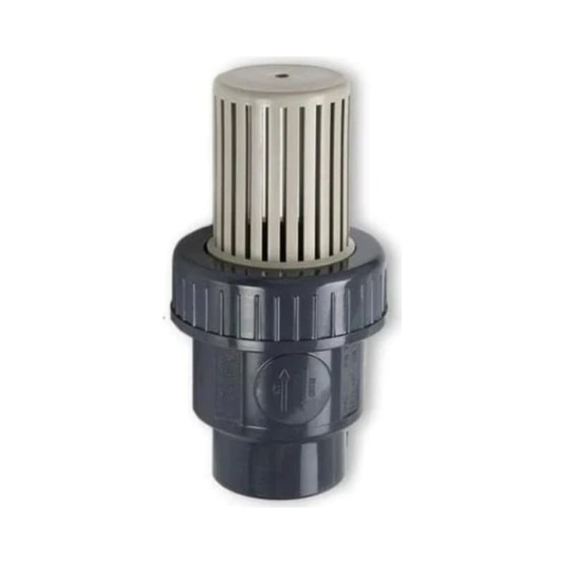 Válvula PCP Purga Aire y Pie PVC 2 Pulgadas