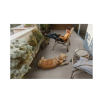 Piso Cerámico Corona Cantera Duropiso Gris 51X51