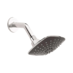 Regadera Grival Imperial Con Brazo Cromo